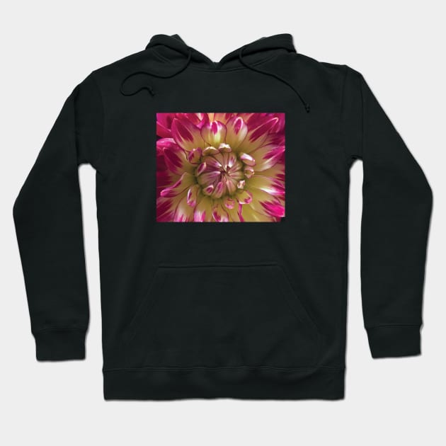 I love Dahlias Hoodie by drumweaver